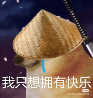 防閃退框架