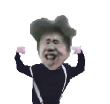 貓貓想回家
