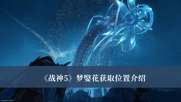 《戰(zhàn)神5》夢嫛花獲取位置介紹