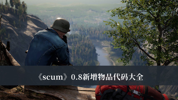 《scum》0.8新增物品代碼大全
