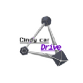 辛迪車禍模擬器