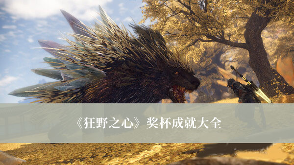 《狂野之心》獎杯成就大全