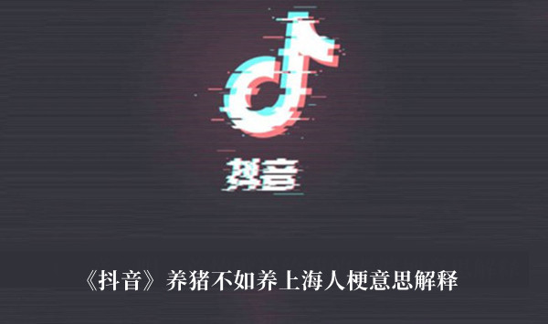 《抖音》養(yǎng)豬不如養(yǎng)上海人梗意思解釋