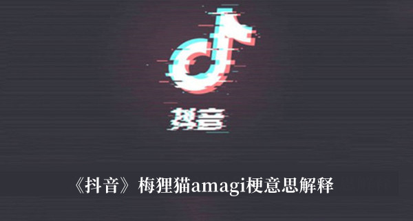 《抖音》梅貍貓amagi梗意思解釋