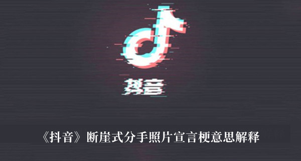 《抖音》斷崖式分手照片宣言梗意思解釋