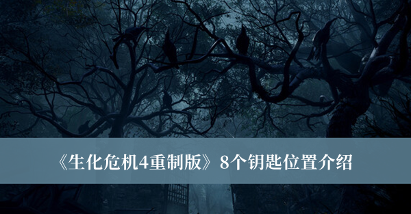《生化危機4重制版》8個鑰匙位置介紹