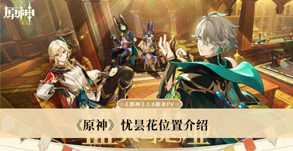 《原神》憂曇花位置介紹
