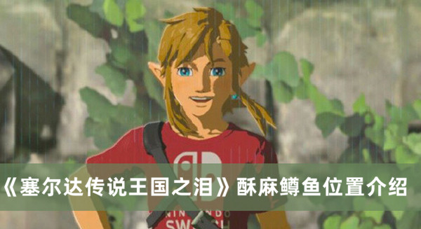 《塞爾達(dá)傳說(shuō)王國(guó)之淚》酥麻鱒魚(yú)位置介紹