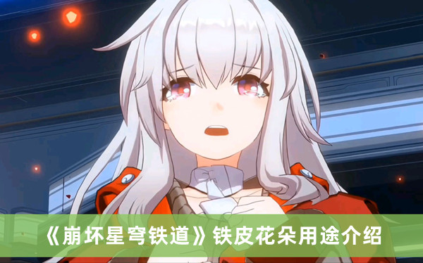《崩壞星穹鐵道》鐵皮花朵用途介紹