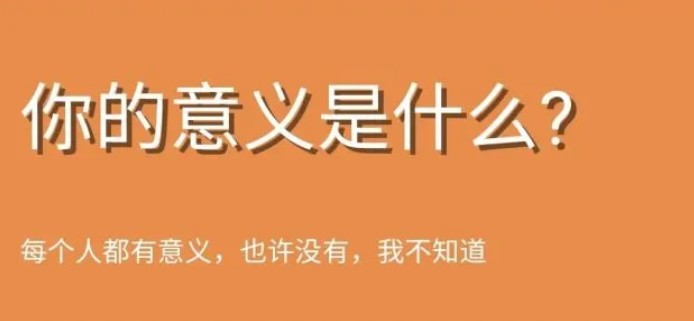 你的意義是什么截圖1