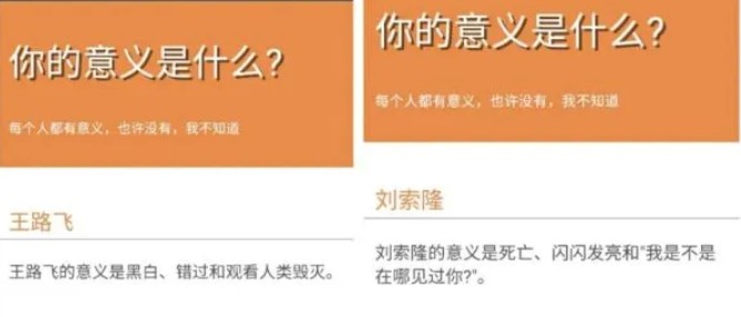 你的意義是什么截圖2
