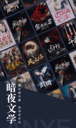 暗夜文學(xué)app截圖1