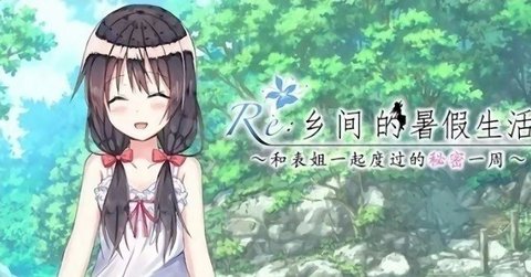 鄉(xiāng)間的暑假生活截圖2