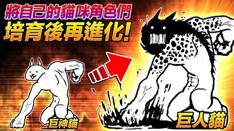 貓咪大戰(zhàn)爭(zhēng)最新破解版截圖1
