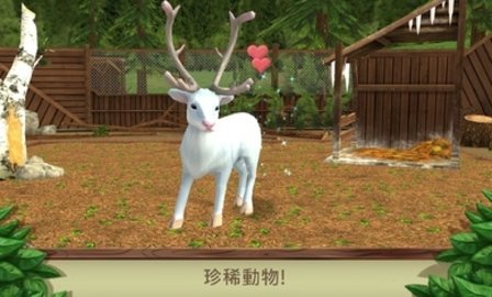 野生動(dòng)物之美國(guó)破解版截圖3
