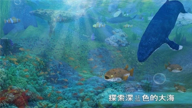 全民養(yǎng)鯊魚截圖3