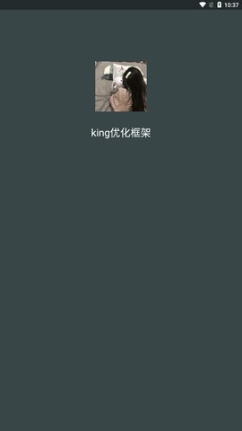 king優(yōu)化框架截圖3
